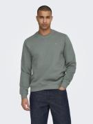 Only & Sons Onsdan unbrushed reg crew neck swea