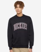 Dickies Sweatshirt dk0a4xabj941