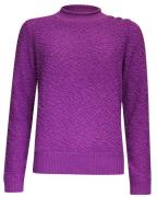 Roberto Sarto Pullover 431187