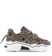 DWRS Label jupiter leopard sneakers lage sneakers dames