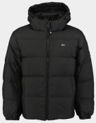 Tommy Hilfiger Winterjack tjm essential down jacket ext dm0dm19786/bds