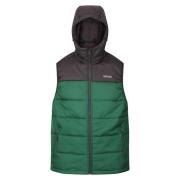 Regatta Heren nevado zwaargewicht mouwloze bodywarmer