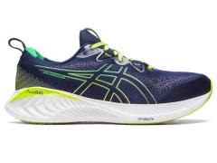 Asics Hardloopschoenen heren