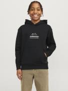 Jack & Jones Jcolima logo sweat hood bf jnr