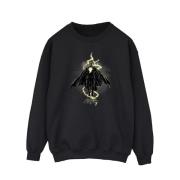 DC Comics Heren adam zwevende bout sweatshirt