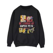 DC Comics Dames dc league of super-pets profiel sweatshirt