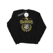 Harry Potter Heren zwerkbal crest sweatshirt