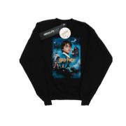 Harry Potter Heren sweatshirt steen der wijzen