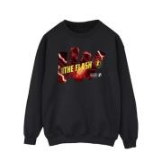 DC Comics Heren the flash pillars sweatshirt