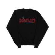 Harry Potter Heren zweinstein collegial sweatshirt