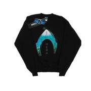 DC Comics Dames aquaman mera oceaan logo sweatshirt