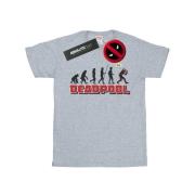 Marvel Avengers Heren deadpool evolution t-shirt