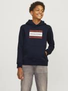 Jack & Jones Jorfrederiksberg box sweat hood sn