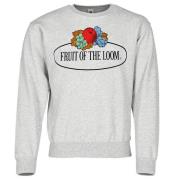 Fruit of the Loom Heren vintage sweatshirt met logoprint