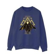 DC Comics Heren zwart adam rising gouden symbolen sweatshirt