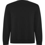 Roly Unisex adult batian sweatshirt met ronde hals