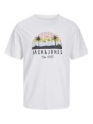 Jack & Jones Jjpalm tee ss crew neck