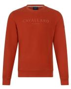 Cavallaro Sweatshirt 120251000