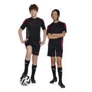 Adidas tiro24 trshoy short voetbal train jongens -