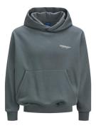 Jack & Jones Jorislington back sweat hood sn steel