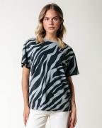 Colourful Rebel T-shirt wt116549 zebra ac