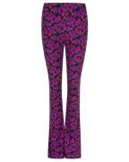 Lofty Manner Broek pk30 ceesje