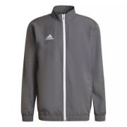 Adidas Heren entrada 22 presentatiejas