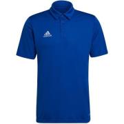 Adidas Heren entrada 22 poloshirt