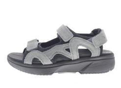 Xsensible Timor