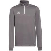 Adidas Kinder/kids entrada 22 trainings top