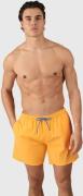 Brunotti cester men swim shorts zwemshort heren -