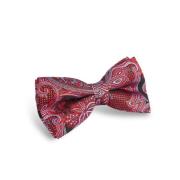 Circle of Gentlemen Butterfly-10