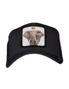 Goorin Bros. The big elephant petten 101-1753