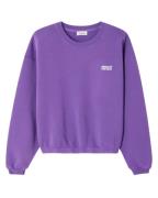 American Vintage Sweat izu03ah