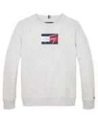 Tommy Hilfiger Sweat kb0kb09741