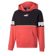 Puma Kinder/kids power colour block hoodie