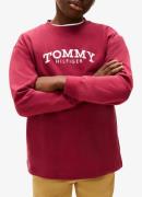 Tommy Hilfiger Longsleeve met logo
