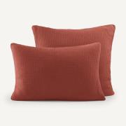 Kussensloop in biologisch tetra, Yafa