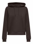 Hoodie, Lounge