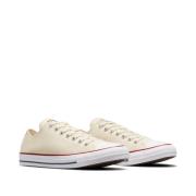 Baskets Chuck Taylor All Star Seasonal Color.