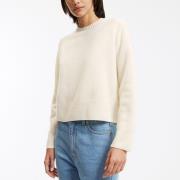 Pull col rond laine PAULVAR