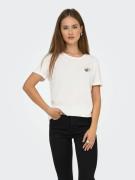 Tee shirt col rond manches courtes